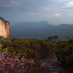 Dogface panoramic - Ben Pearse Photography