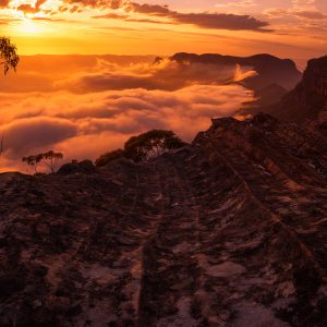 Fog in the Jamison - Ben Pearse Photography