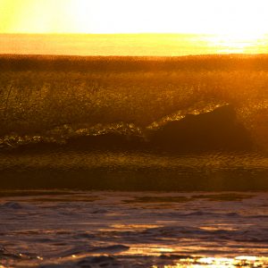 Golden Wave - Ben Pearse Photography