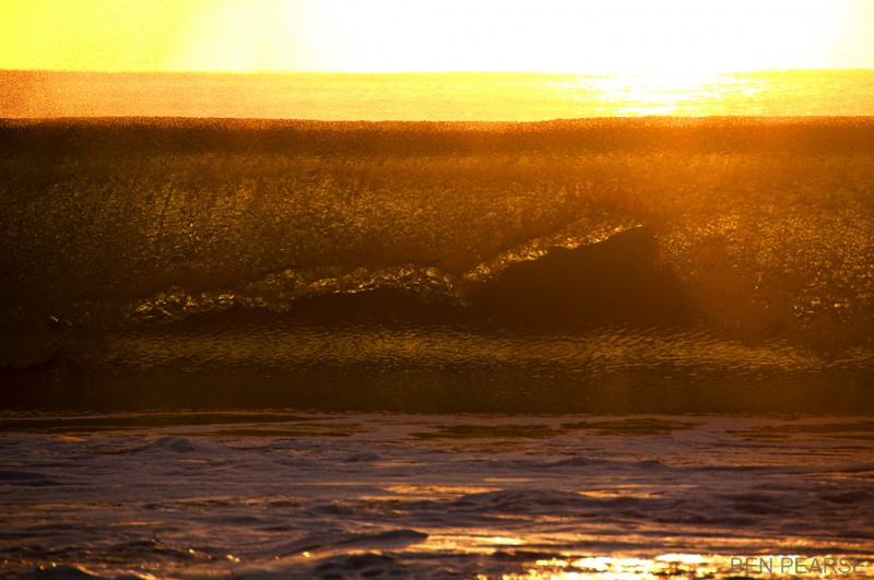 Golden Wave - Ben Pearse Photography
