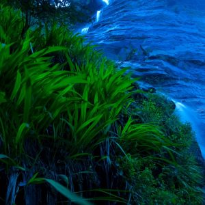 Green on Blue - Ben Pearse Photography