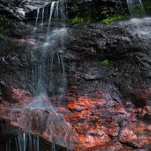 Looking up at Katoomba Falls - Ben Pearse photography