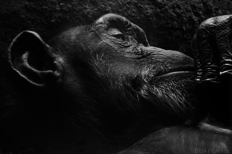 Lost in Thought - Ben Pearse Photography
