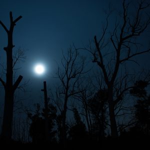 Moonrise Through the Mist - Ben Pearse Photography