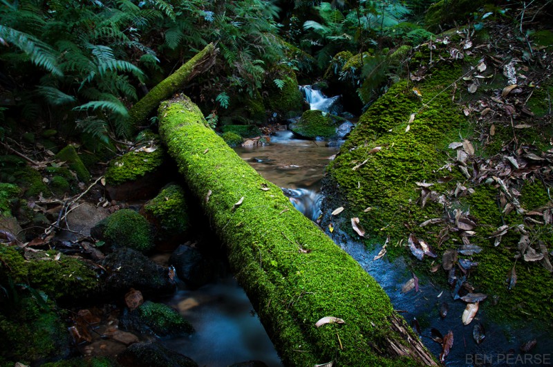 Moss bridge - Ben Pearse Photography