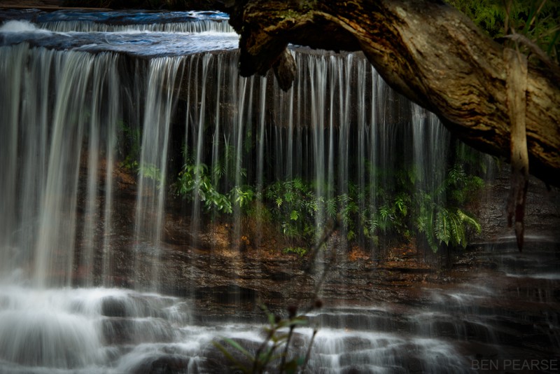Natures Gardens - Ben Pearse Photography