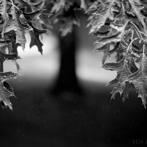 Rainy Days - Ben Pearse Photography