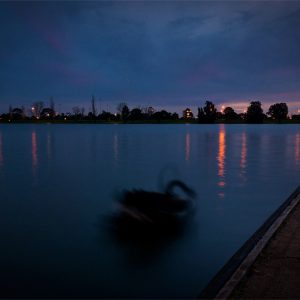 Swan Lake - Ben Pearse Photography