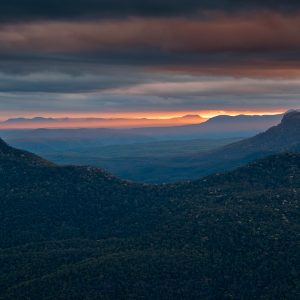 Valley of Wattle - Ben Pearse Photography