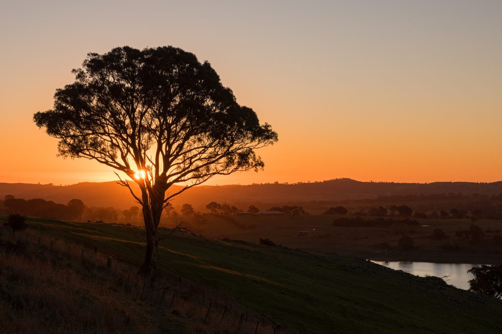 Carcoar sunset- Ben Pearse 2016